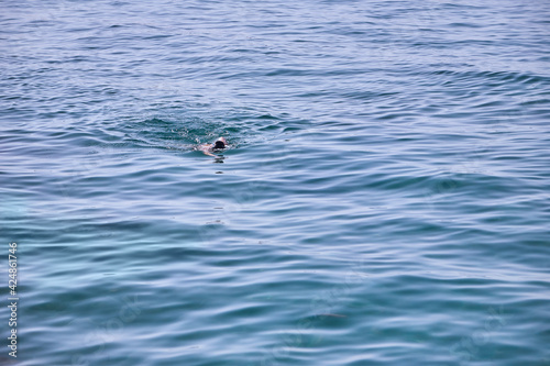 Man swimming in sea water. Active or healthy life concept.