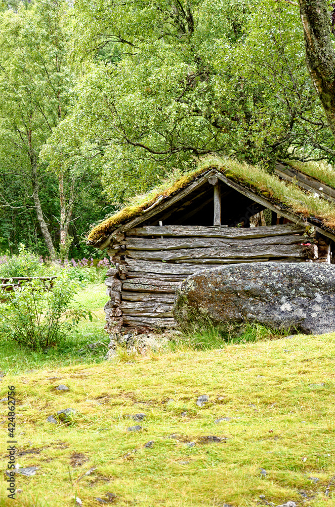 Scandinavian traditional house with green roof Scandinavian traditional house with green roof