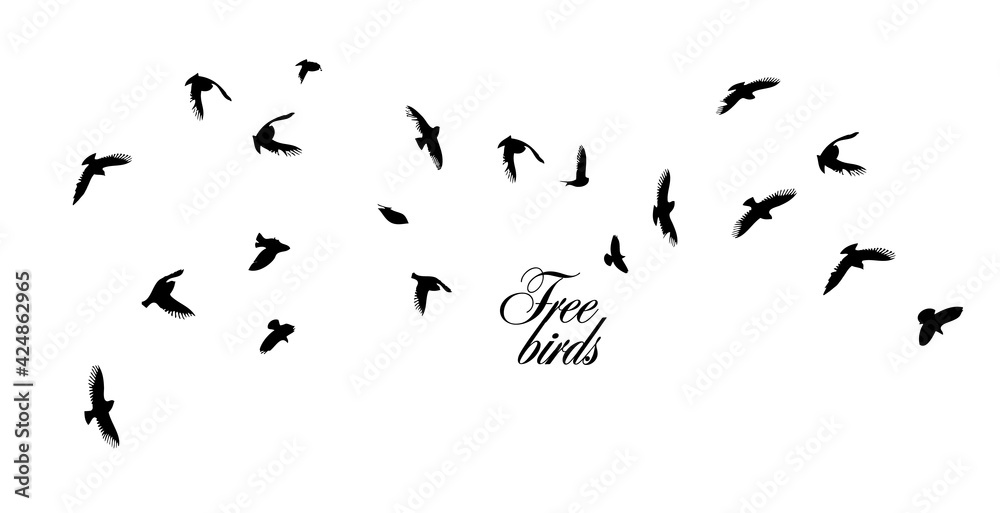 A flock of flying birds. Vector illustration A flock of flying birds. Vector illustration