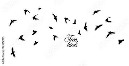 A flock of flying birds. Vector illustration © Мария Неноглядова
