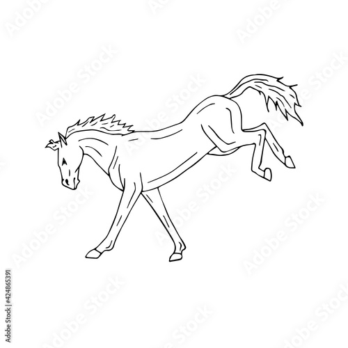 Vector hand drawn doodle sketch horse kicking isolated on white background