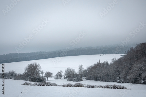 A beautiful picture of a snowy field lined with forest © weinkoetz