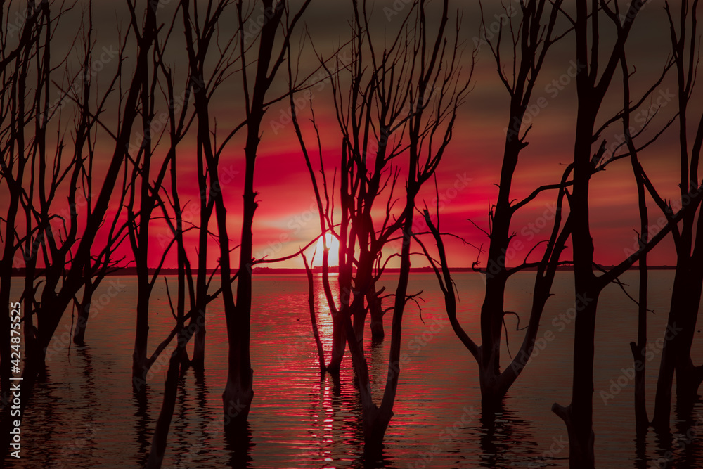 Fototapeta premium sunset over the lake