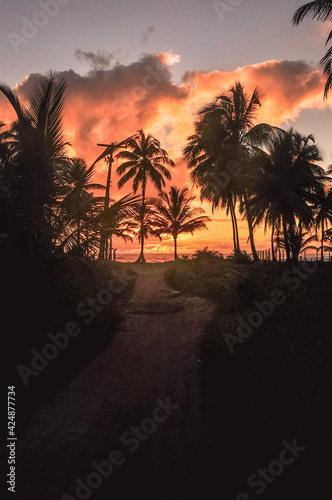 sunset on the beach