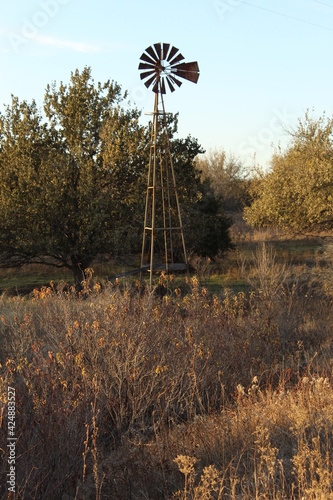 Water windmill in tree grove