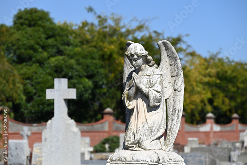 A sculpture of an angel praying in a cemetery