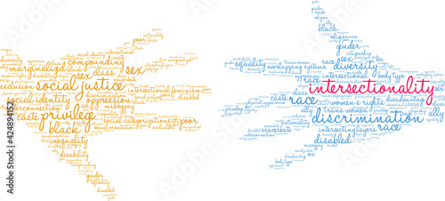 Intersectionality Word Cloud on a white background. 