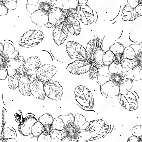 Hand drawn seamless pattern black and white of blossom dogrose flower, plant, leaf. Vector illustration. Elements in graphic style label, sticker, menu, package.