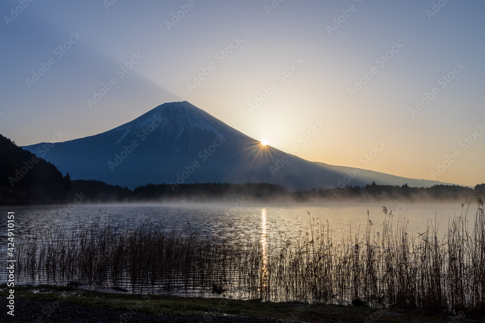 田貫湖の朝もやと富士山の日の出