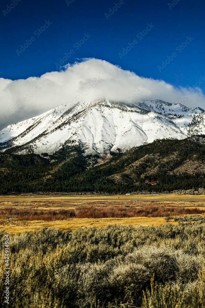 Fototapeta premium Slide Mountain Nevada, home of Mt Rose Ski Resort. Vertical/Portrait