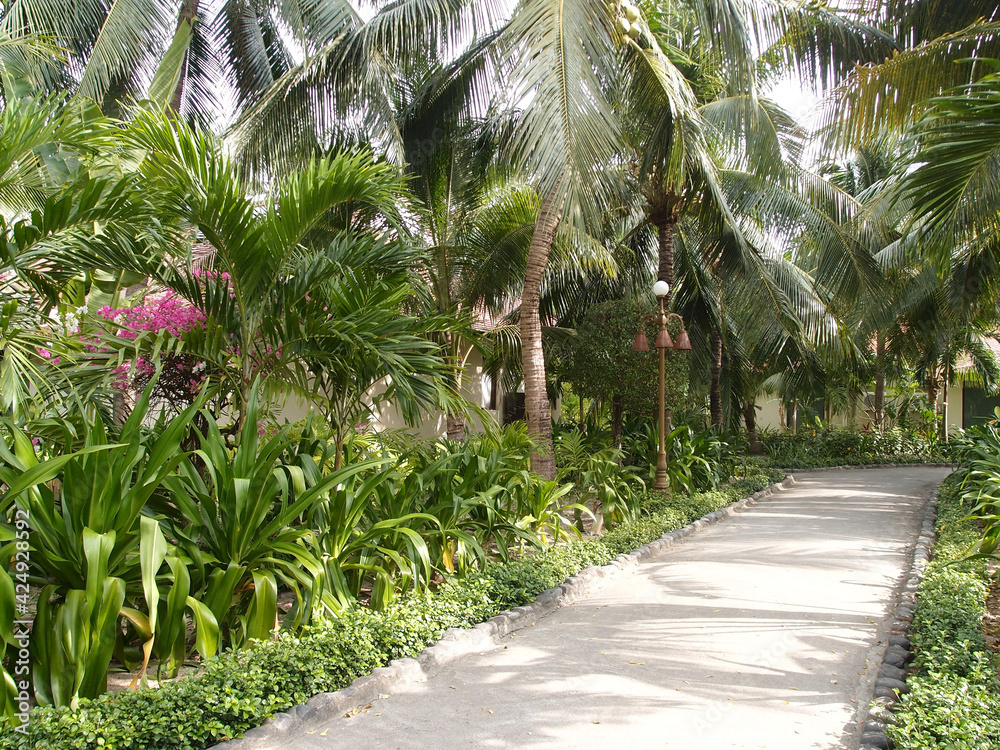 Bungalow in the tropical garden Bungalow in the tropical garden