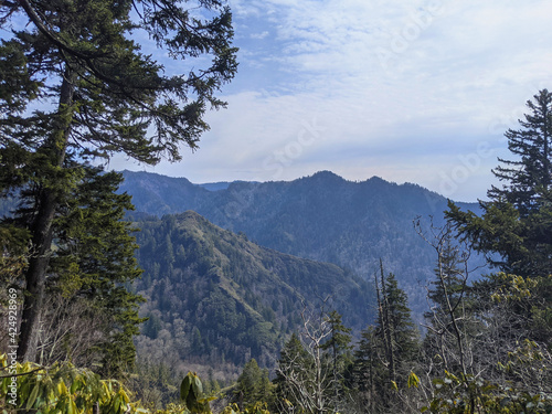 Scenic view of the Smoky Mountians