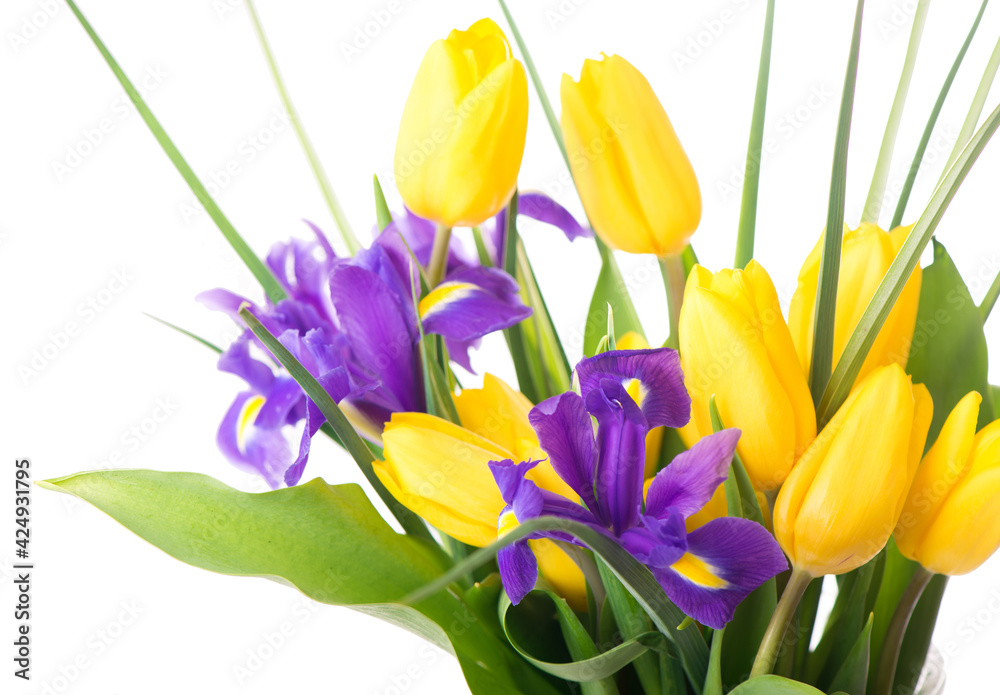 Photo with fresh spring flowers for any festive design. Yellow tulips and purple irises in a vase on a beige background, close-up Photo with fresh spring flowers for any festive design. Yellow tulips and purple irises in a vase on a beige background, close-up