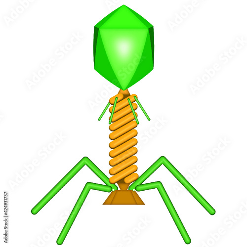 Green Animated Bacteriophage