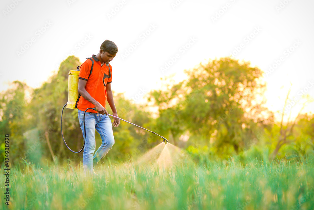 Indian farmer spraying pesticides in green onion field Indian farmer spraying pesticides in green onion field