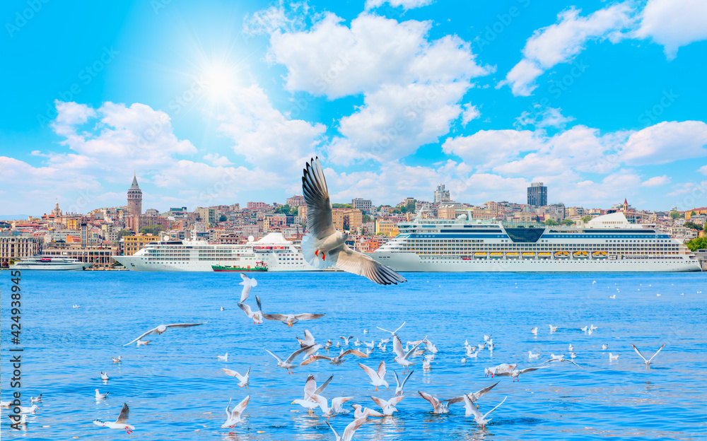 Fototapeta premium Galata Tower, Galata Bridge, Karakoy district and Golden Horn at morning, istanbul - Turkey - Large flock of seagulls flying at the sea - Luxury cruise ship in Bosporus