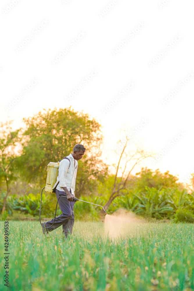 Indian farmer spraying pesticides in green onion field Indian farmer spraying pesticides in green onion field