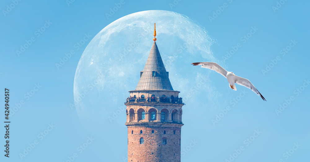 Galata Tower with flying seagull in the background with full moon ...