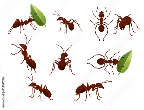 Set of cute brown ant holding a green leaf cartoon bug animal design vector illustration isolated on white background