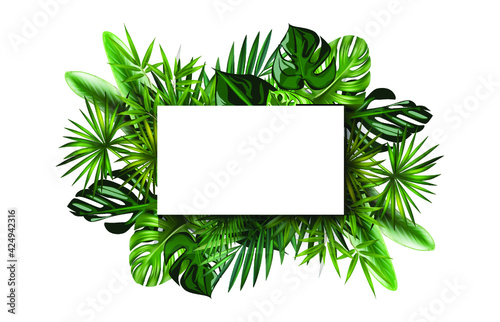 vector image frame illustration assorted monstera banana leaves and others