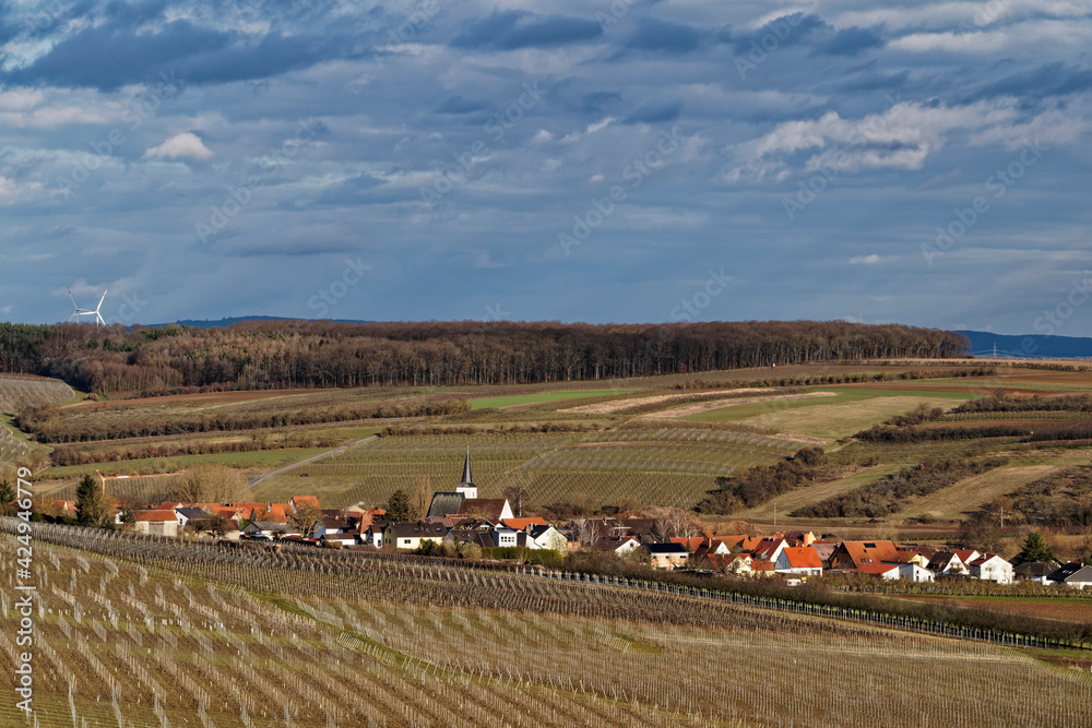 Obraz premium Weinberge, Landschaft und Winzerort Obereisenheim am Main, Landkreis Würzburg, Unterfanken, Bayern, Deutschland