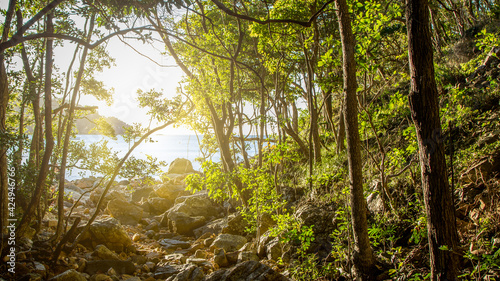 Secluded Island on Whitsundays Queensland