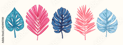 Collection of blue and pink tropical leaves and plants isolated on white background. Vector Hand Drawn Sketch Botanical Illustration. Highly detailed plant collection. Palm leaves. Exotic. Vintage