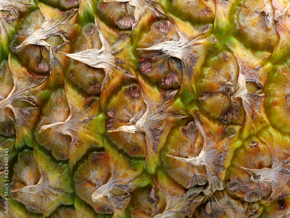 Close up texture of fresh ripe pineapple background Close up texture of fresh ripe pineapple background