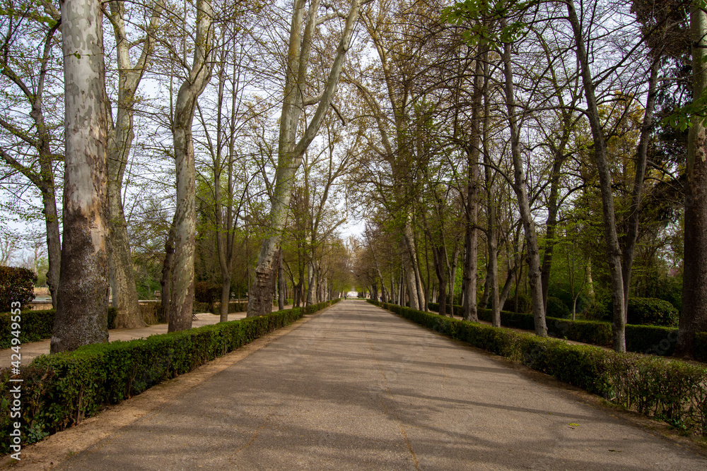 Paseo de los jardines del principe de Aranjuez