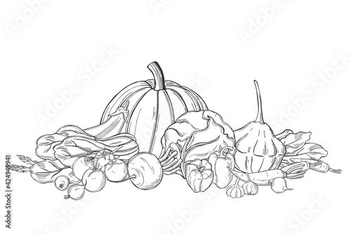 Vegetables. Sketch  illustration