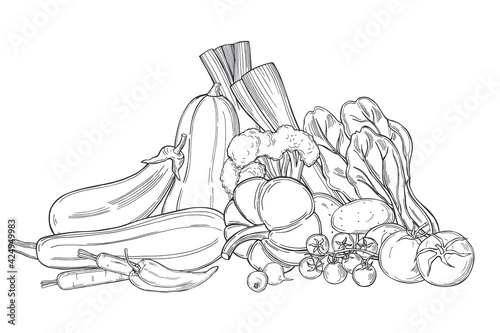 Sketch vegetables. Vector  illustration