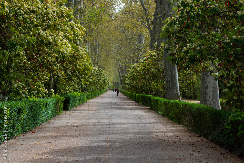 Paseo de los jardines del principe de Aranjuez