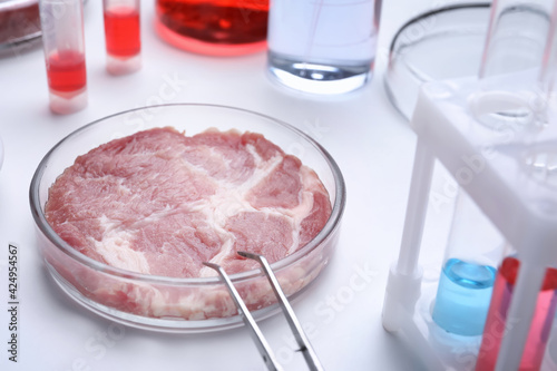 Sample of cultured meat on white lab table