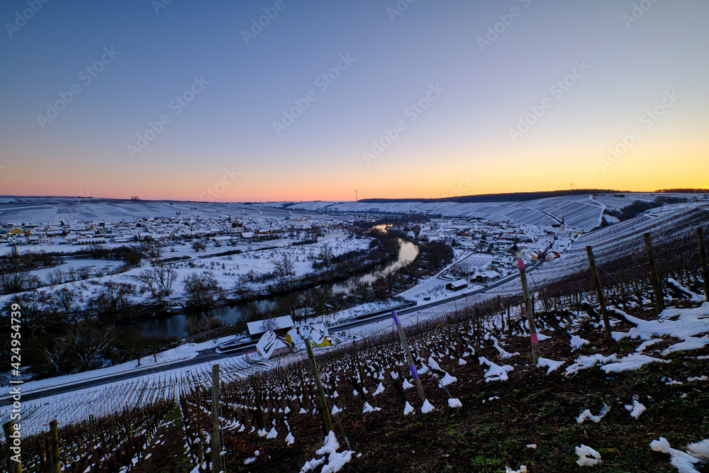 Fototapeta premium Weinort Nordheim am Main inmitten der Weinberge an der Volkacher Mainschleife im Winter, Unterfanken, Bayern, Deutschland