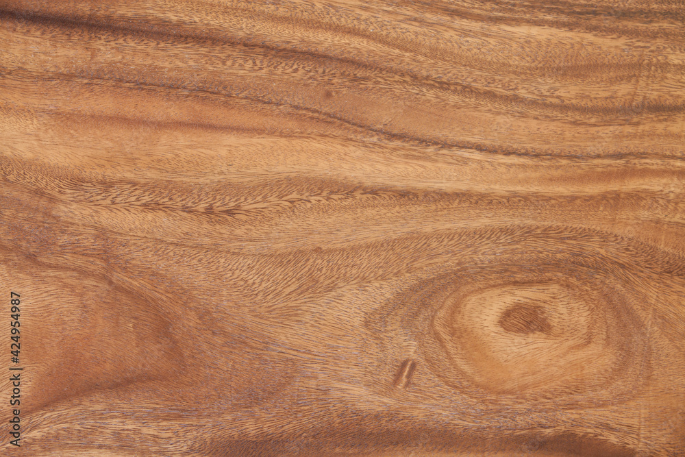 Texture wood background Texture wood background