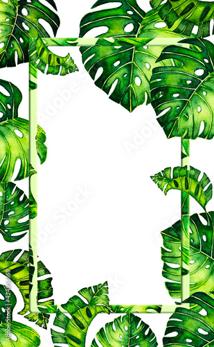 green background with border with leaves monstera. Tropical leaves of palm tree on white background.