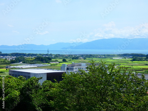 Wallpaper Mural 運動公園 Torontodigital.ca