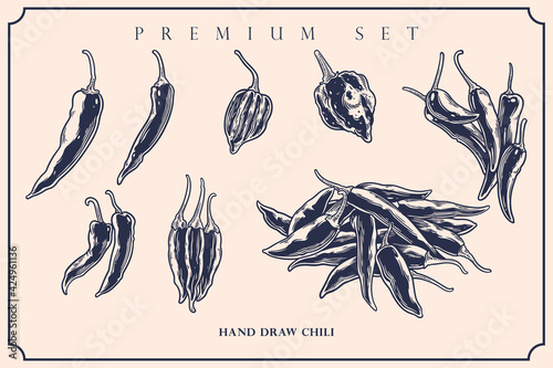 Engraved illustration of chili vintage set