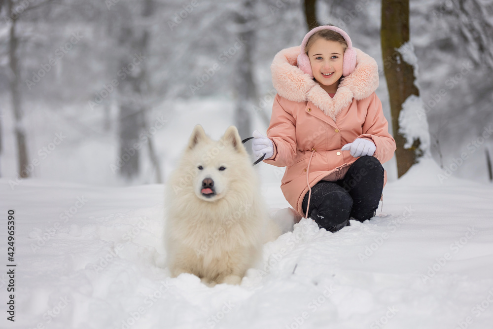 child dog samoyed child dog samoyed