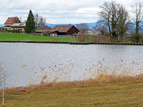 Small lake Freyenweijer (Freyenweiher) or pond Itlimoosweiher (Itlimoosweijer), Samstagern - Canton of Zürich (Zuerich or Zurich), Switzerland (Schweiz) photo