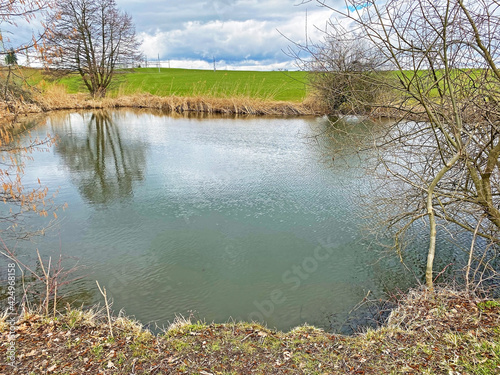 Small lake Freyenweijer (Freyenweiher) or pond Itlimoosweiher (Itlimoosweijer), Samstagern - Canton of Zürich (Zuerich or Zurich), Switzerland (Schweiz) photo