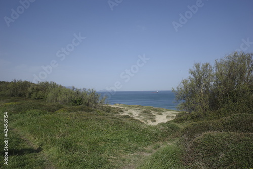 Shore of the Basque Country