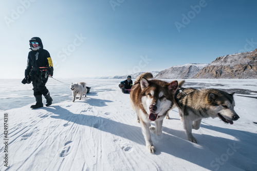 Walking woman and sled dogs pulling sleigh during winter hike along frozen Lake Baikal