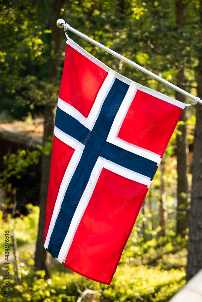 norwegian flag in spring - norsk flagg  - obrazy, fototapety, plakaty 