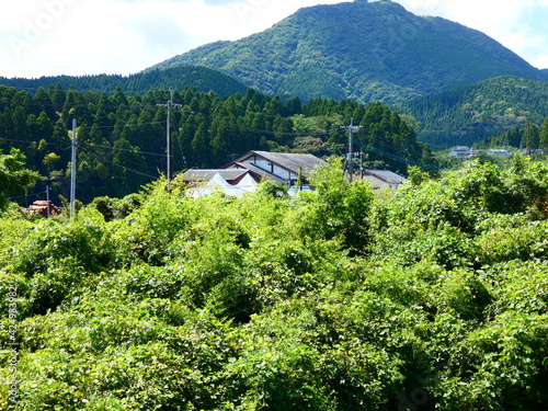 田舎暮らし