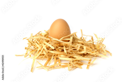 chicken egg in the nest isolated on white