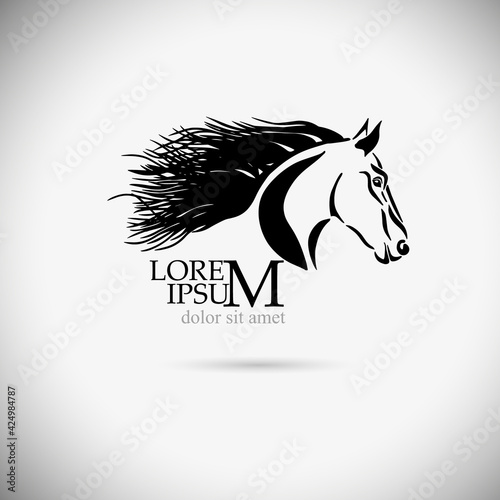 Horse face. Tattoo. Vector illustration