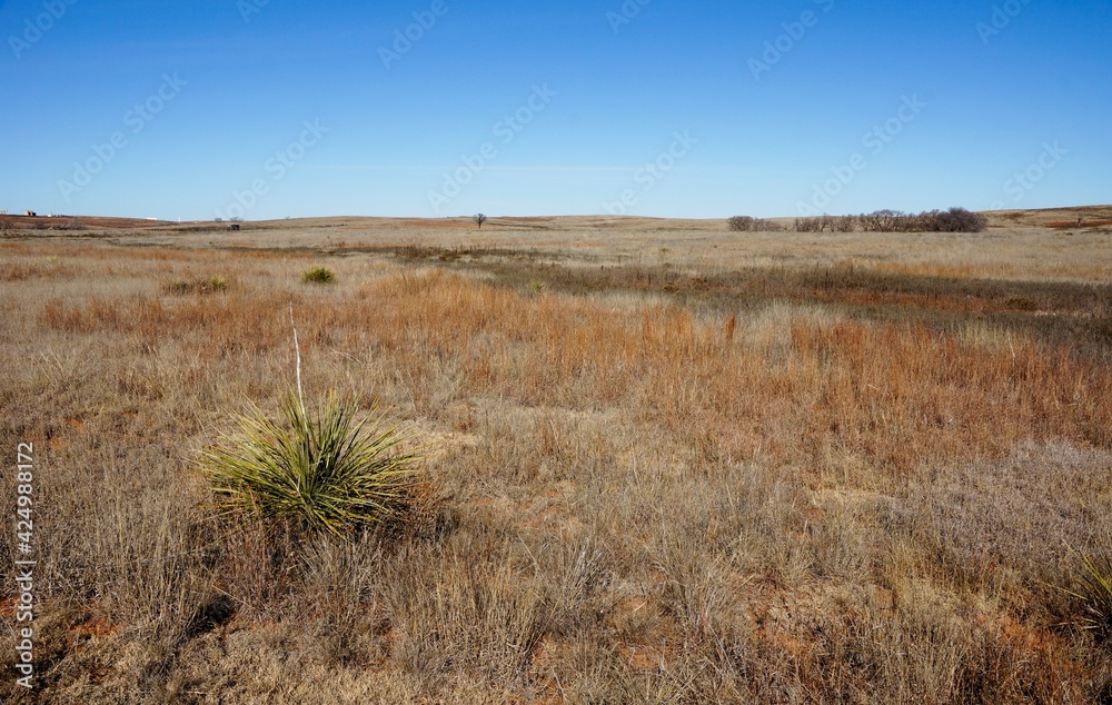 Black Kettle National Grassland in Oklahoma USA Black Kettle National Grassland in Oklahoma USA
