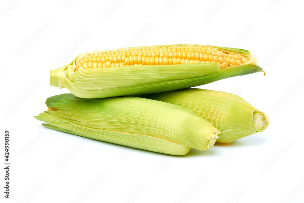 Fresh organic corn cob isolated on white background Fresh organic corn cob isolated on white background