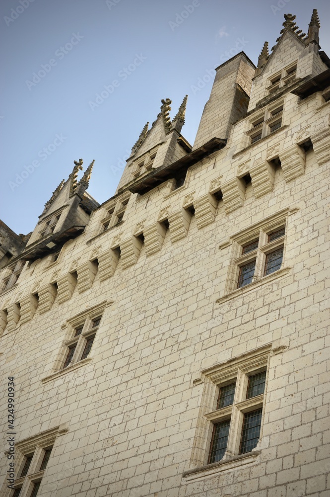 Façade du Château de Montsoreau (france)